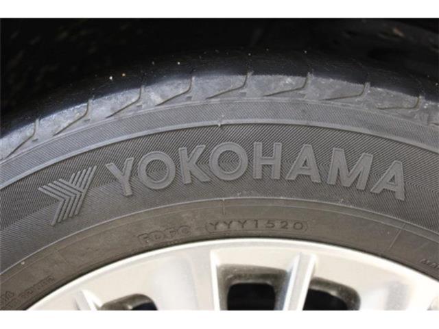 ヴェルファイア（新潟県新潟市東区）