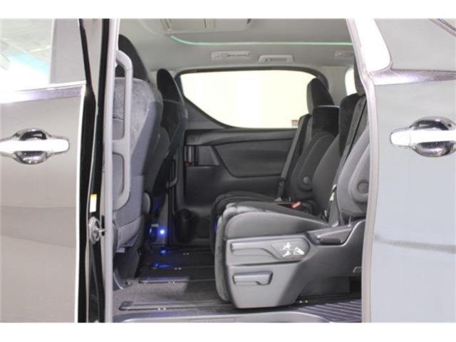 ヴェルファイア（新潟県新潟市東区）