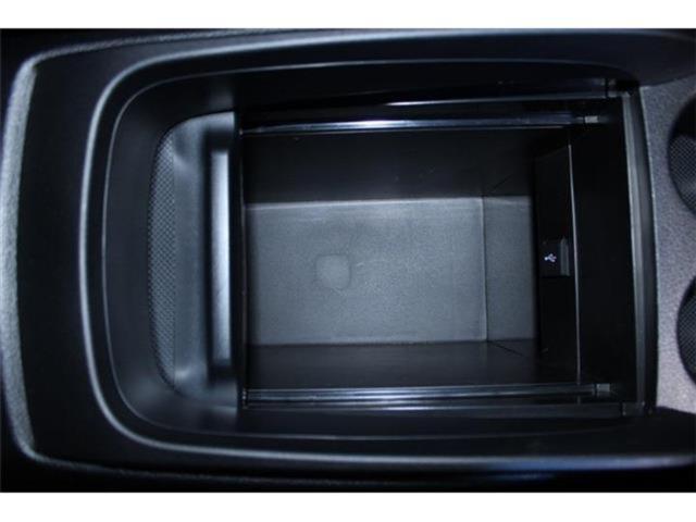 ヴェルファイア（新潟県新潟市東区）