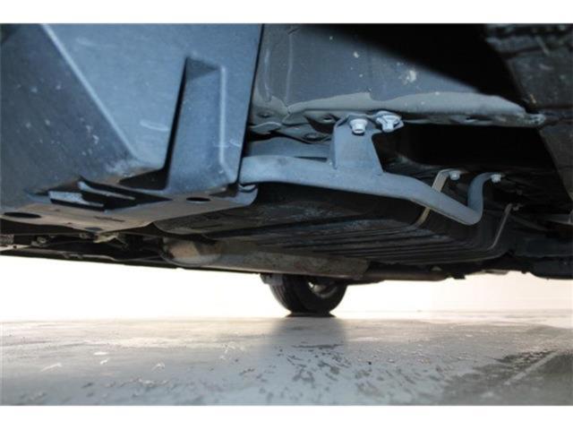 ヴェルファイア（新潟県新潟市東区）