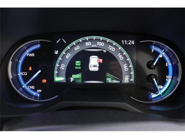 ＲＡＶ４（新潟県新潟市東区）