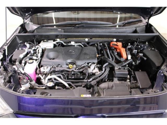 ＲＡＶ４（新潟県新潟市東区）