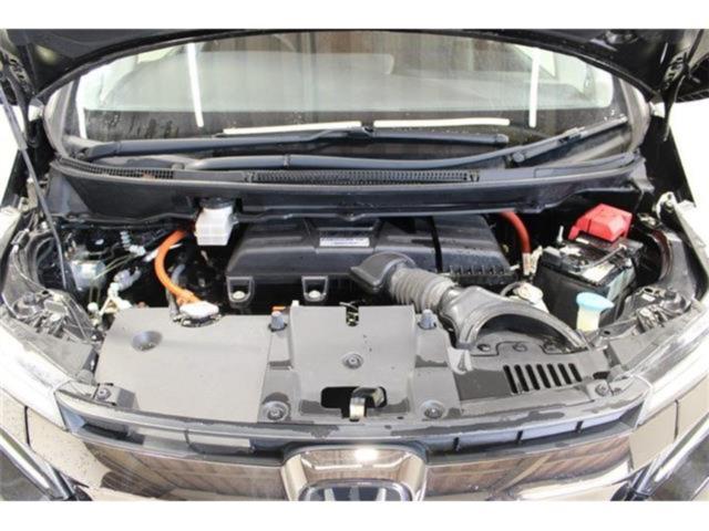 ステップワゴン（新潟県新潟市東区）