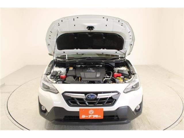 スバルXV（新潟県新潟市東区）