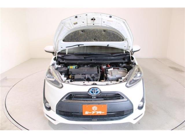 シエンタ（新潟県新潟市東区）