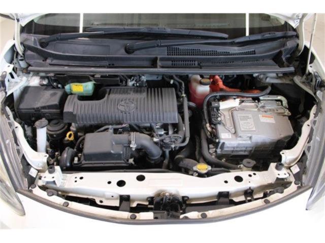 シエンタ（新潟県新潟市東区）