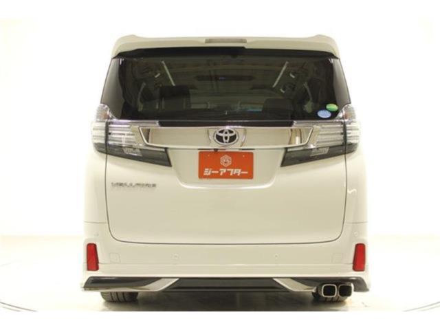 ヴェルファイア（新潟県新潟市東区）画像12