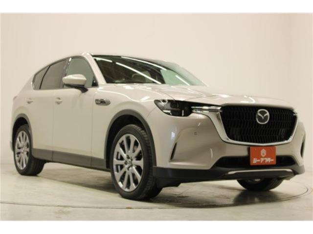 CX-60（新潟県新潟市東区）画像7