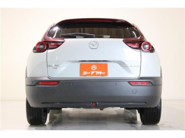 MX-30（新潟県新潟市東区）画像12