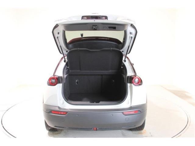 MX-30（新潟県新潟市東区）画像32