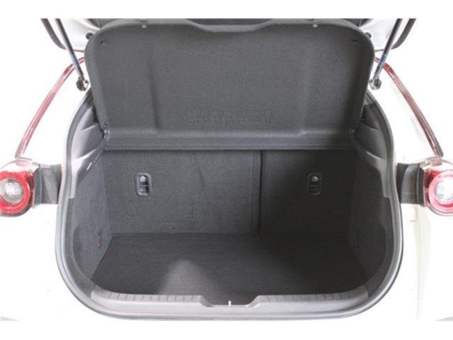 MX-30（新潟県新潟市東区）画像33