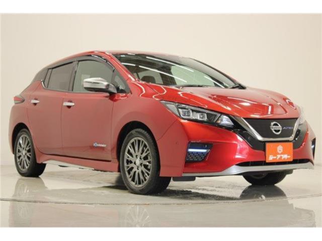 リーフ（新潟県新潟市東区）画像7