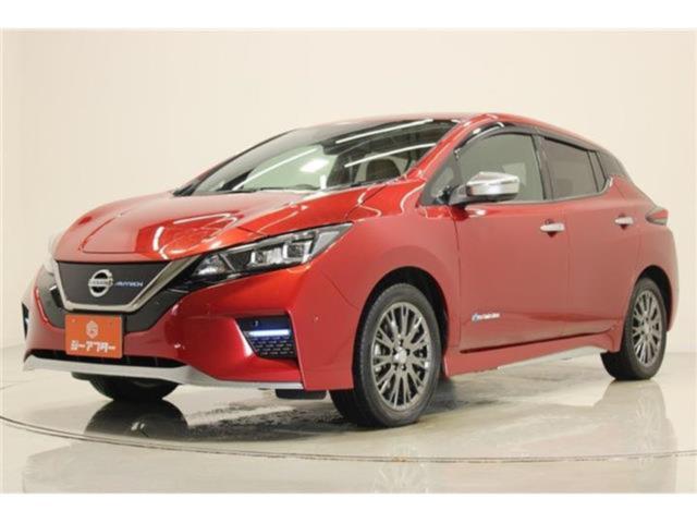 リーフ（新潟県新潟市東区）画像9