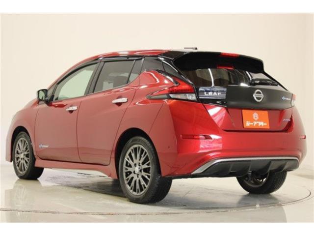 リーフ（新潟県新潟市東区）画像11