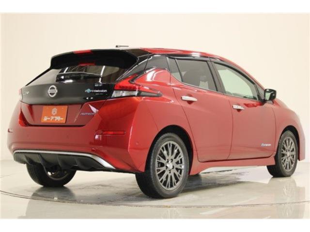 リーフ（新潟県新潟市東区）画像13