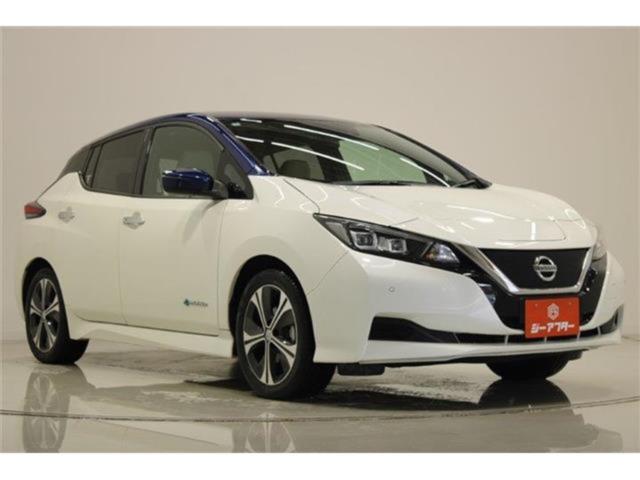 リーフ（新潟県新潟市東区）画像7