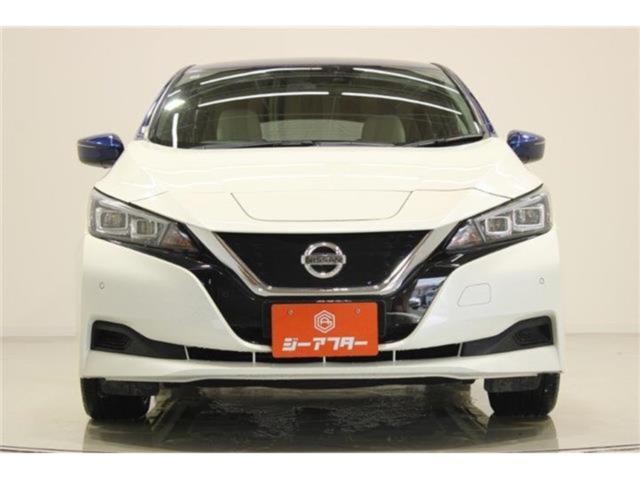 リーフ（新潟県新潟市東区）画像8