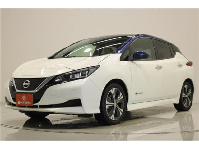 リーフ（新潟県新潟市東区）画像9