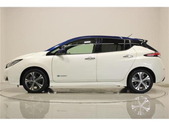 リーフ（新潟県新潟市東区）画像10