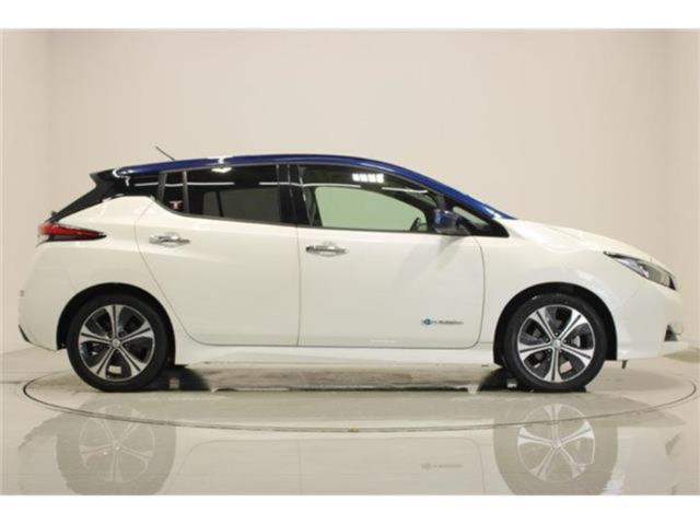 リーフ（新潟県新潟市東区）画像14