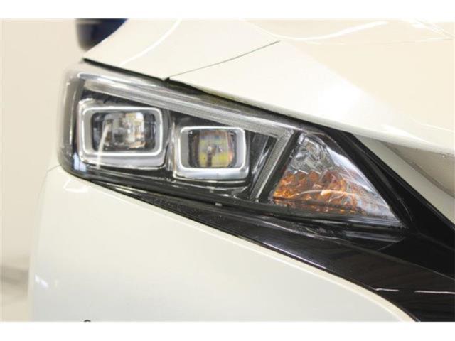 リーフ（新潟県新潟市東区）画像18