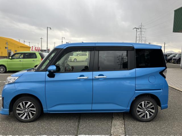 トール（新潟県新潟市西蒲区）