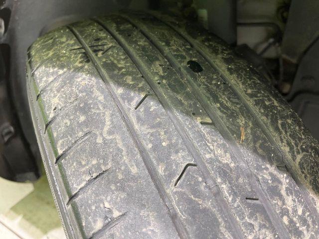 セレナ（新潟県長岡市）画像66