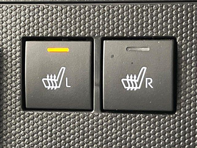 タフト（新潟県新潟市東区）画像31