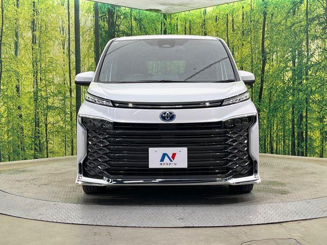 ヴォクシー（新潟県新潟市南区）