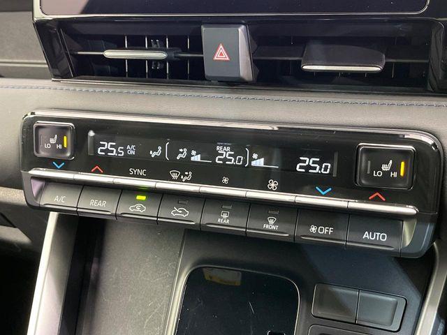 ヴォクシー（新潟県新潟市南区）