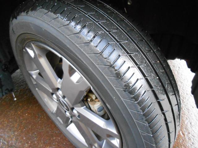 タフト（新潟県新発田市）画像30