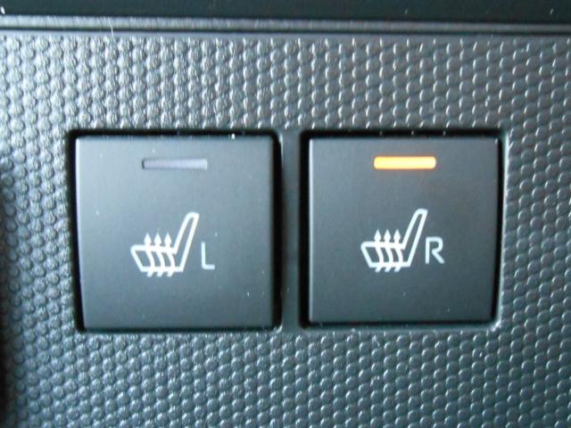 タフト（新潟県新発田市）画像22