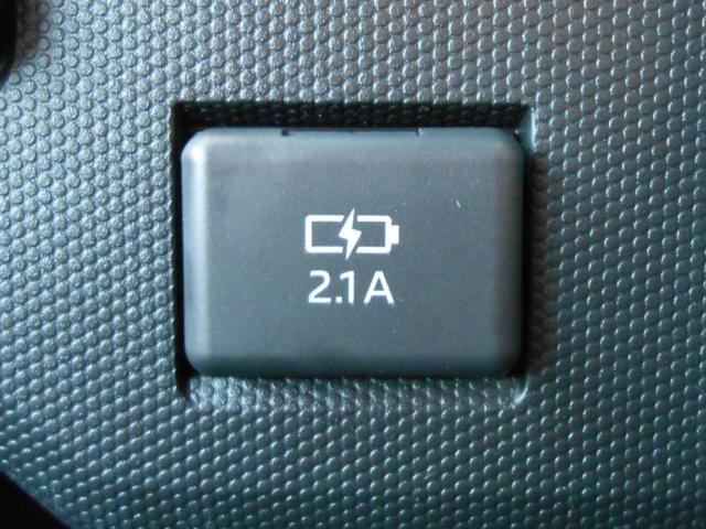 タフト（新潟県新発田市）画像23