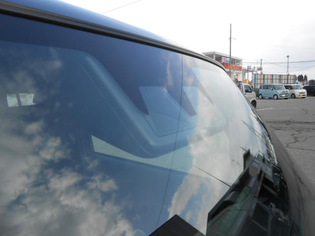 タフト（新潟県新発田市）画像27