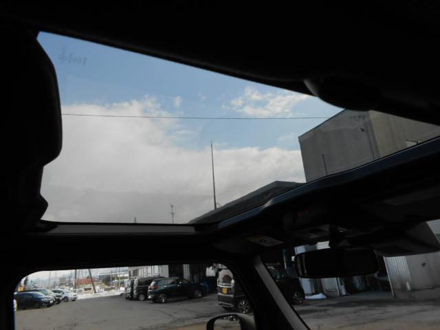 タフト（新潟県新発田市）画像26