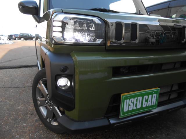 タフト（新潟県新発田市）画像28