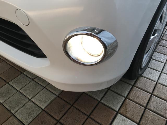 デイズ（新潟県新潟市西区）