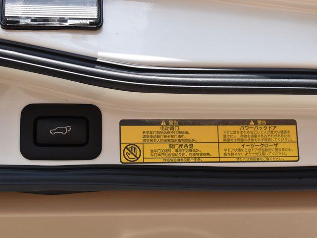 ランドクルーザー（新潟県上越市）