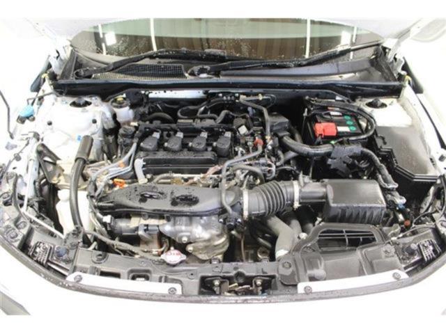 シビック（新潟県新潟市東区）