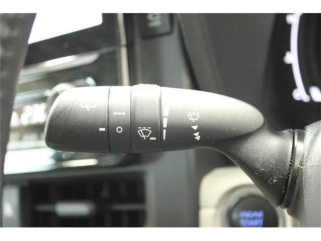 シエンタ（新潟県新潟市東区）