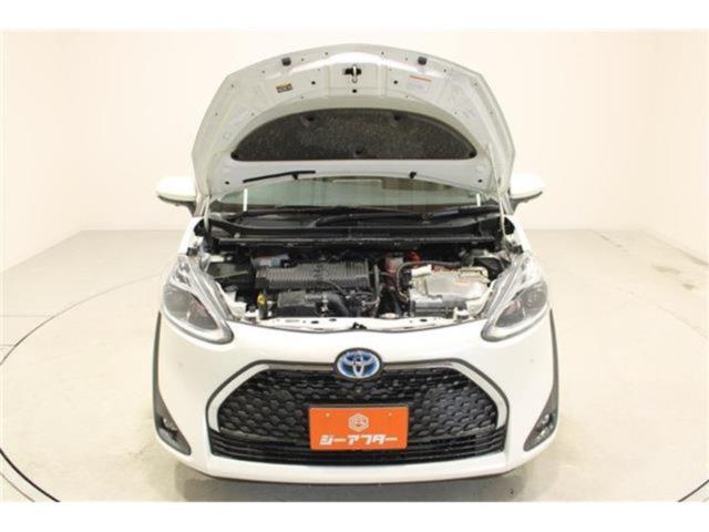 シエンタ（新潟県新潟市東区）