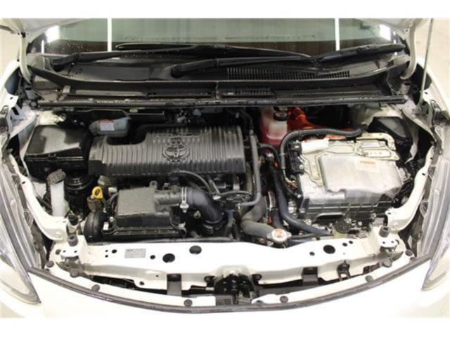 シエンタ（新潟県新潟市東区）