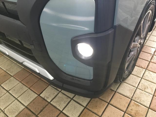 タント（新潟県新潟市西区）