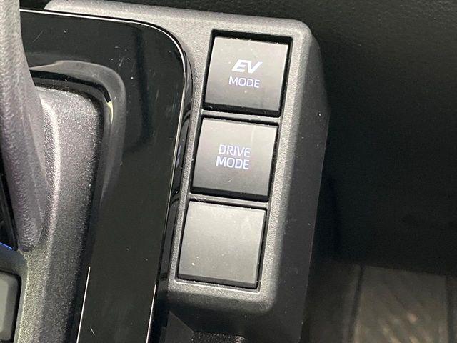 シエンタ（新潟県新潟市東区）