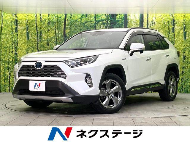 ＲＡＶ４（新潟県新潟市東区）