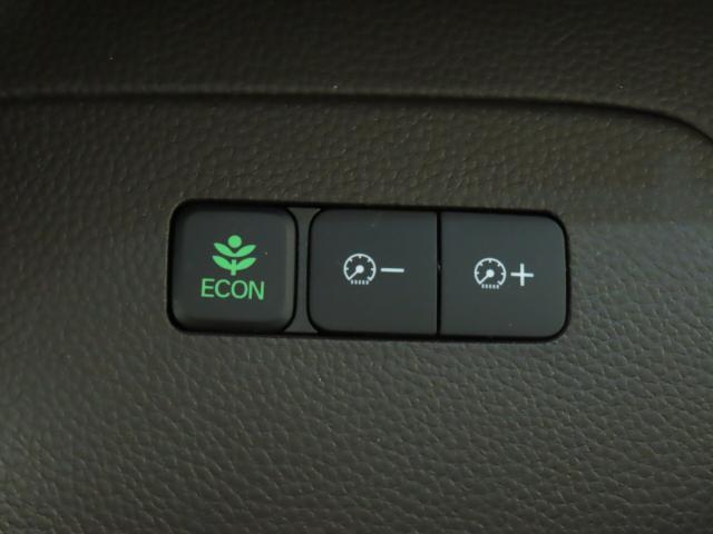 N＿BOX（新潟県新潟市江南区）