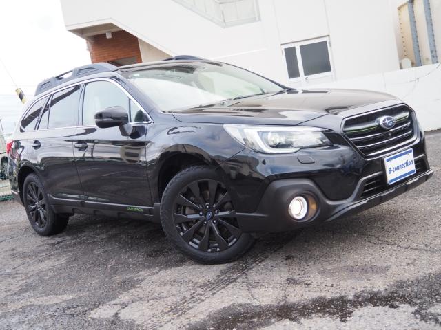 アウトバック（新潟県新潟市西区）画像37