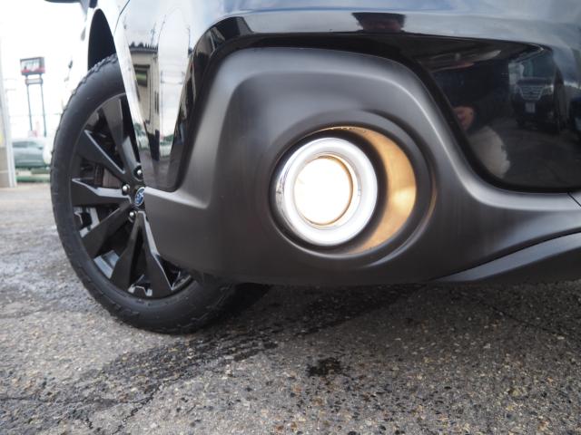 アウトバック（新潟県新潟市西区）画像39