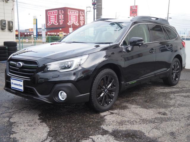 アウトバック（新潟県新潟市西区）画像23