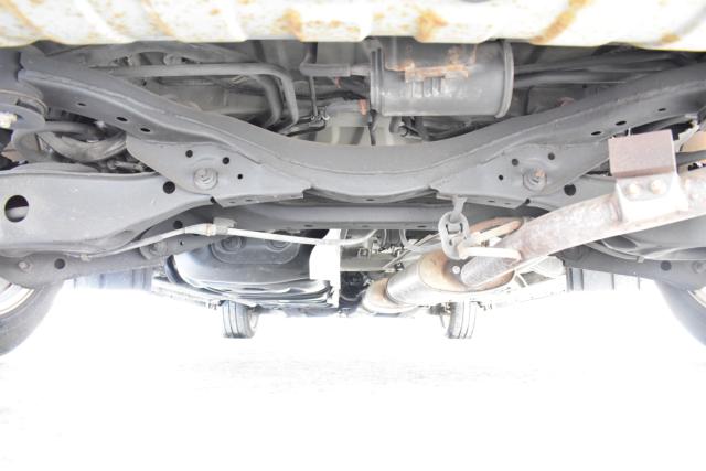 エルグランド（新潟県新潟市西区）